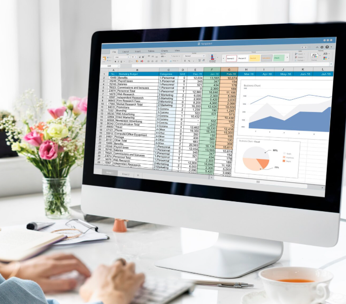 Excel – do Nível Intermédio ao Avançado 